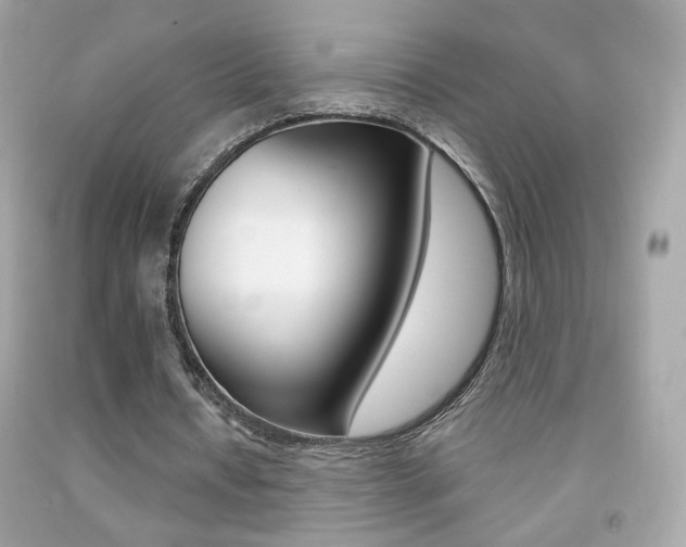 X0000092080434200709121109