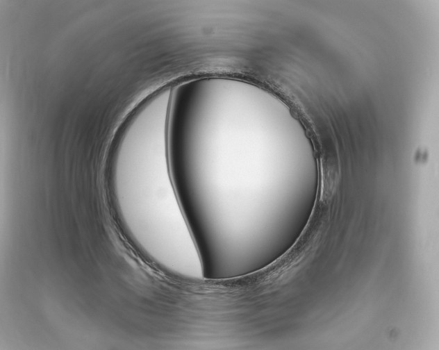X0000092080435200709121109