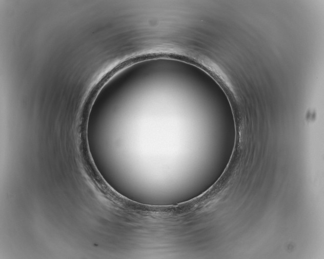 X0000092080436200709121109