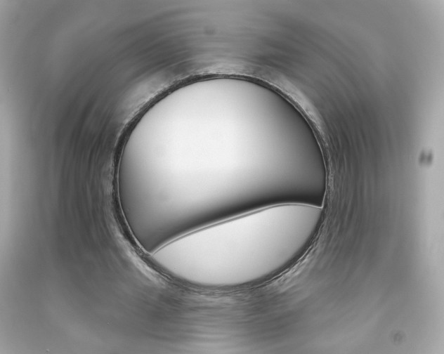 X0000092080437200709121109