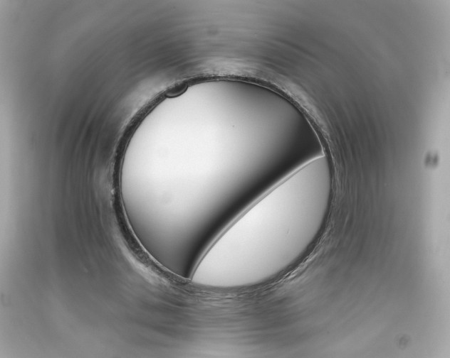 X0000092080438200709121109