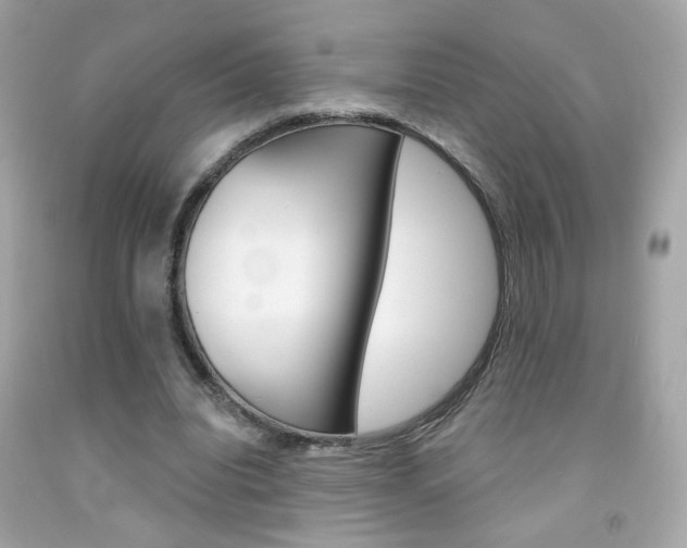 X0000092080440200709121109
