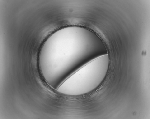 X0000092080442200709121109