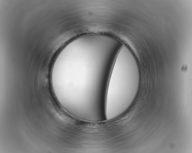 X0000092080443200709121109