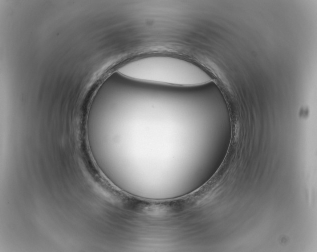 X0000092080444200709121109