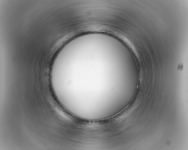 X0000092080445200709121109