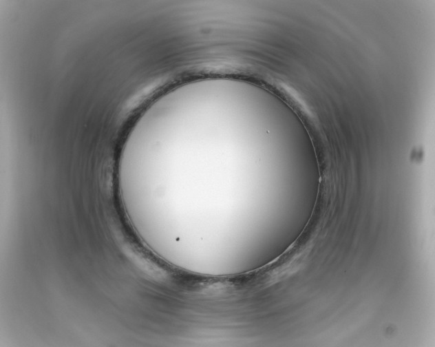 X0000092080446200709121109