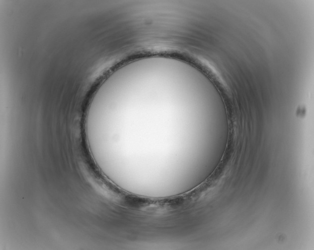 X0000092080447200709121109