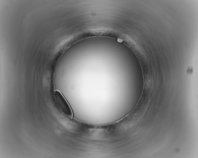 X0000092080448200709121109