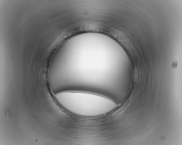 X0000092080449200709121109