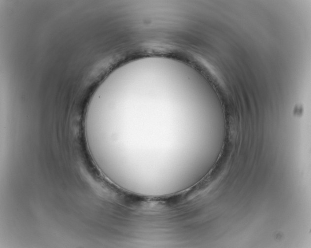 X0000092080451200709121109