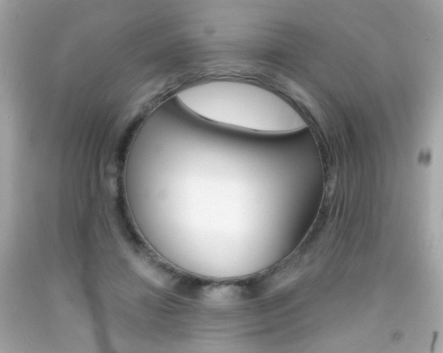 X0000092080452200709121109