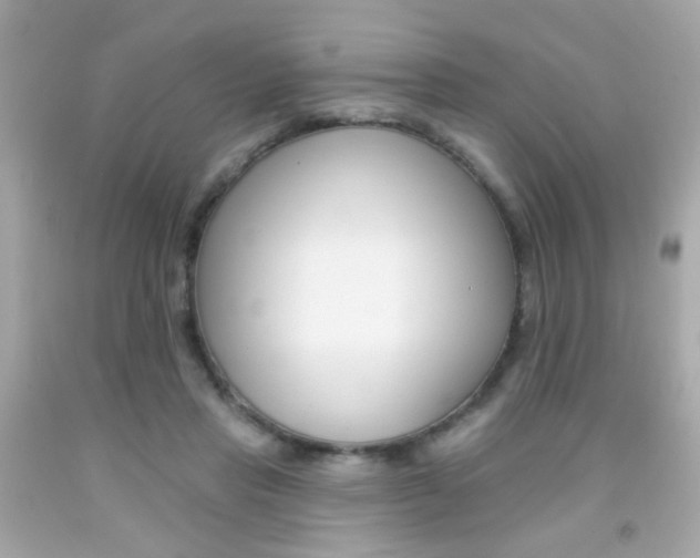 X0000092080453200709121109