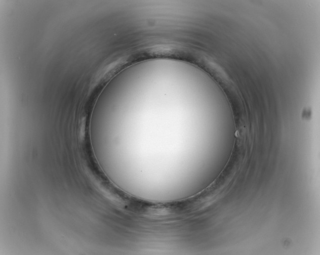 X0000092080454200709121109