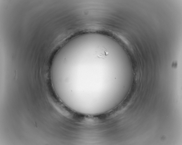 X0000092080455200709121109