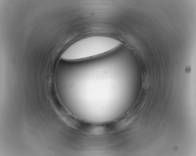 X0000092080456200709121109
