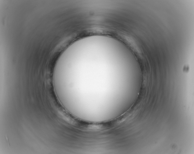 X0000092080457200709121109