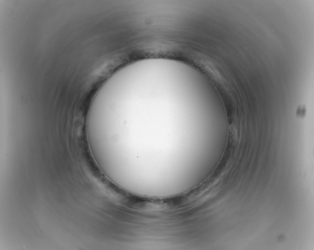 X0000092080458200709121109