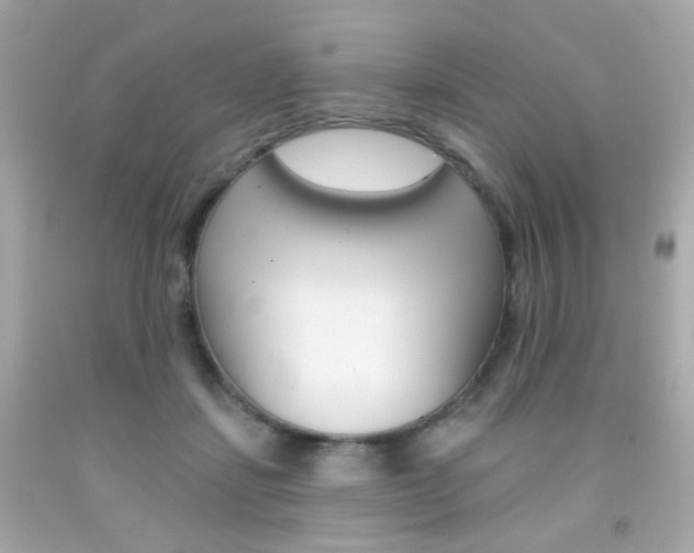 X0000092080459200709121109