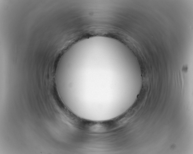X0000092080460200709121109