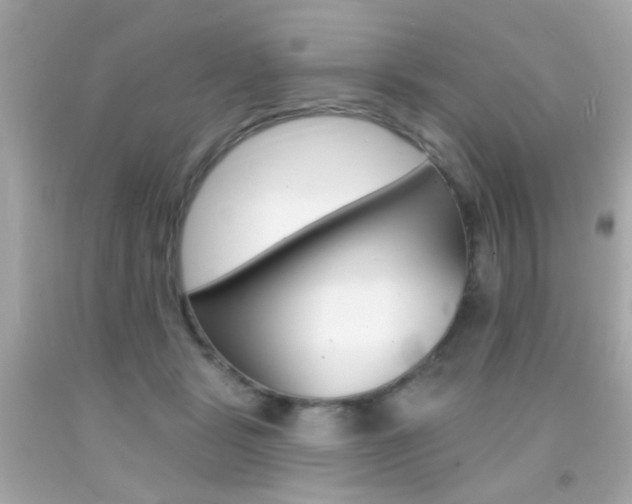 X0000092080461200709121109