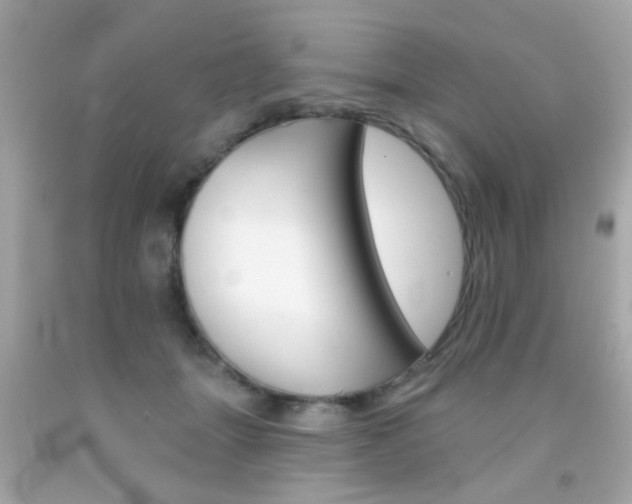 X0000092080463200709121109