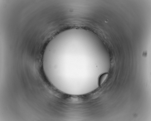 X0000092080464200709121109