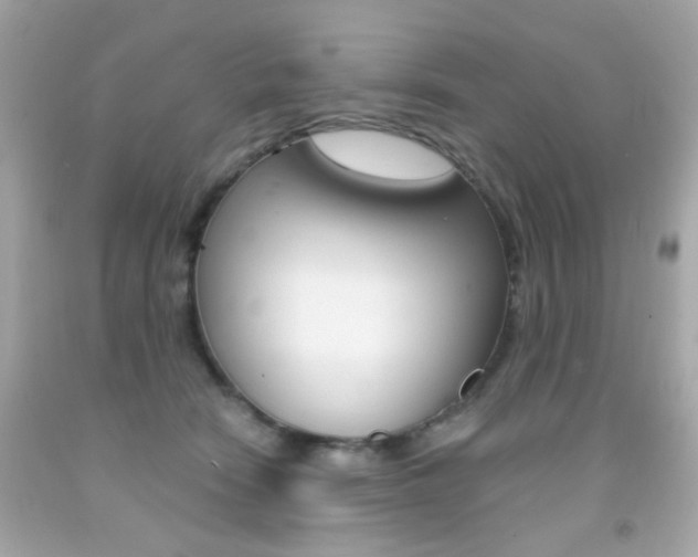 X0000092080466200709121109