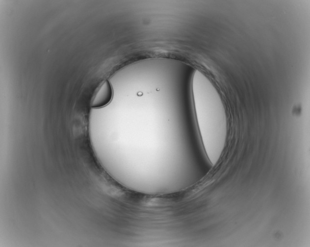 X0000092080467200709121109