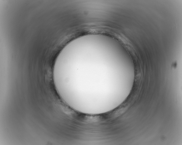 X0000092080469200709121109