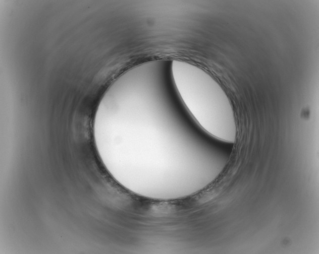 X0000092080470200709121109