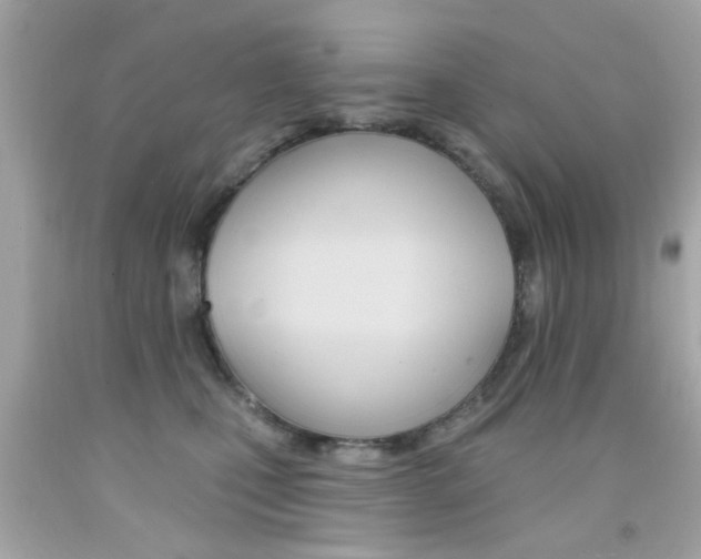 X0000092080471200709121109