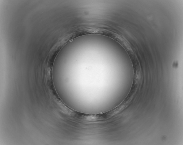 X0000092080473200709121109
