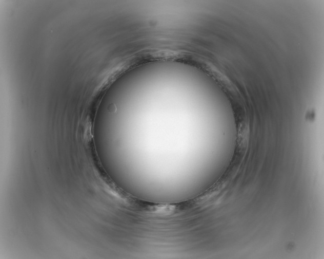 X0000092080474200709121109