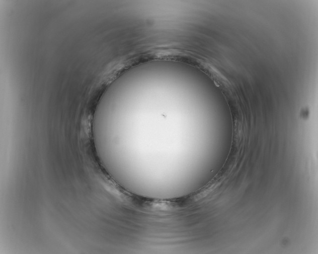 X0000092080475200709121109
