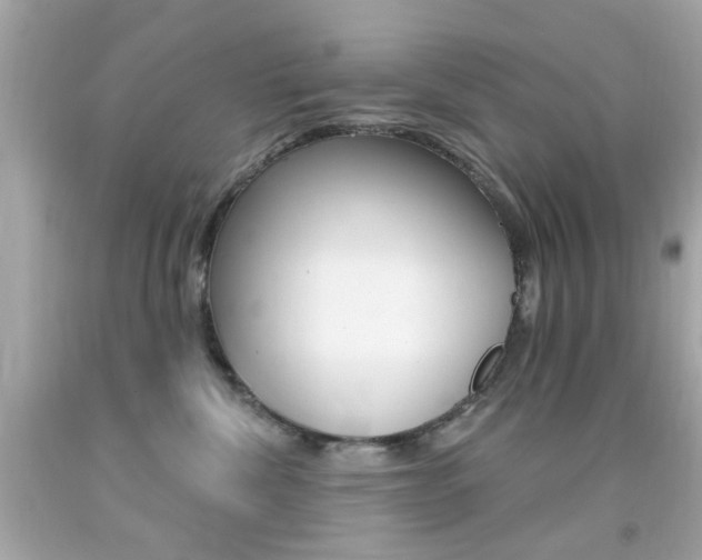 X0000092080476200709121109