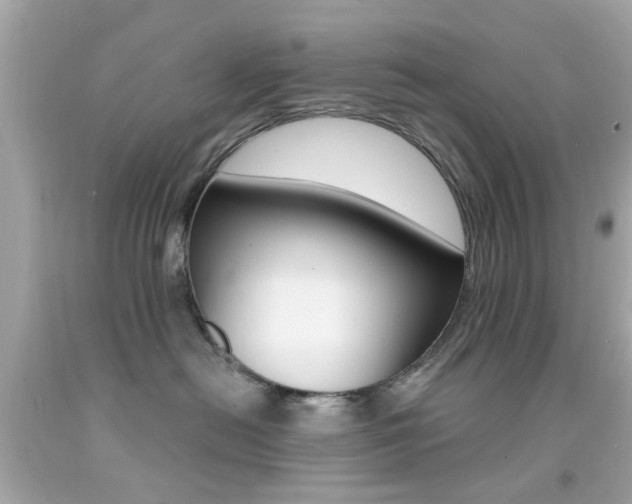 X0000092080478200709121109