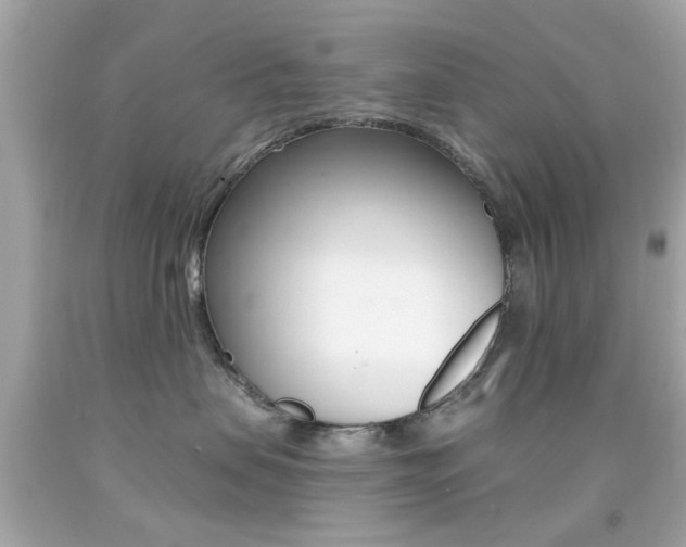 X0000092080479200709121109