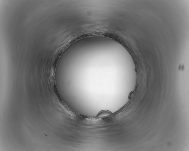 X0000092080480200709121109