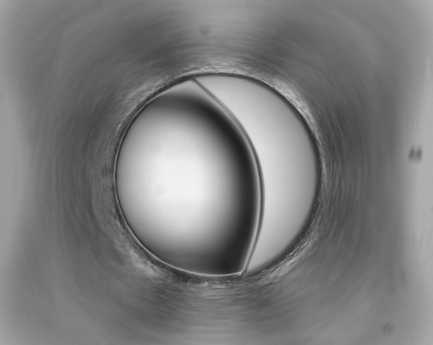 X0000092080481200709121109