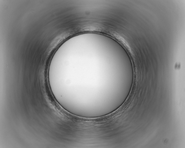 X0000092080482200709121109