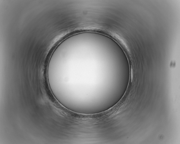 X0000092080483200709121109