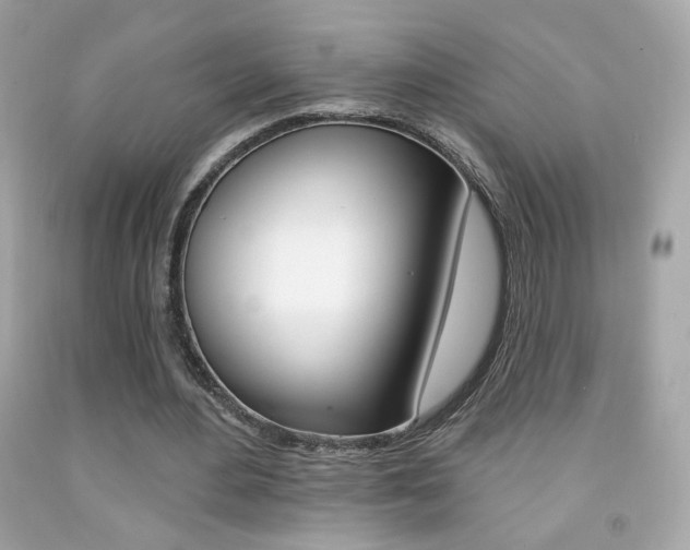 X0000092080484200709121109