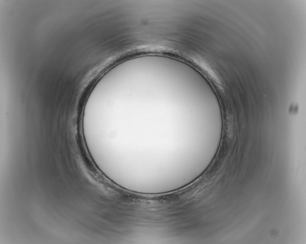 X0000092080486200709121109