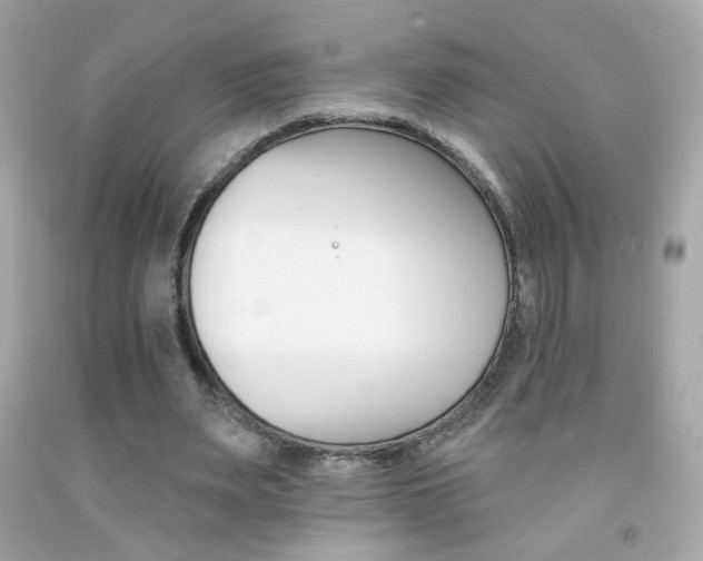 X0000092080487200709121109
