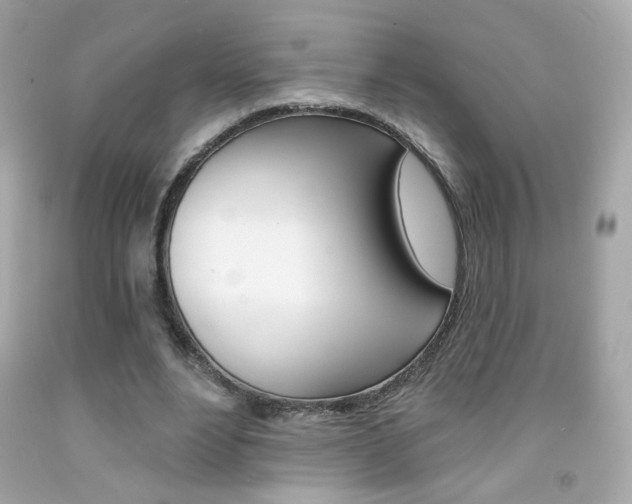 X0000092080488200709121109
