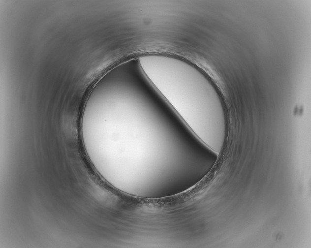 X0000092080489200709121109