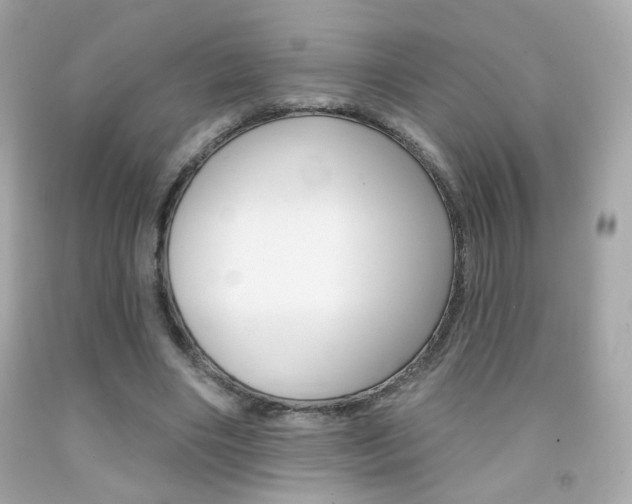 X0000092080490200709121109