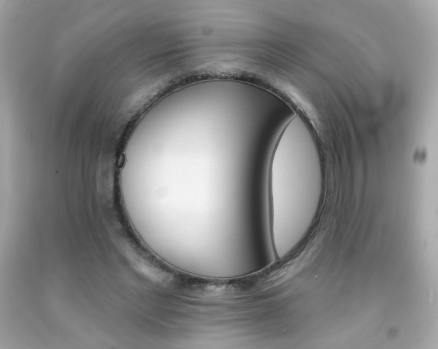 X0000092080493200709121108