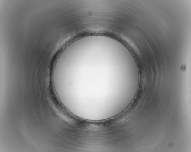 X0000092080494200709121108
